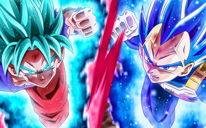 Dragon Ball Super Goku e Vegeta