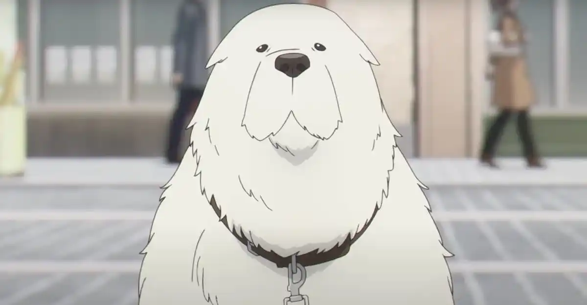 Spy x Family Bond Forger